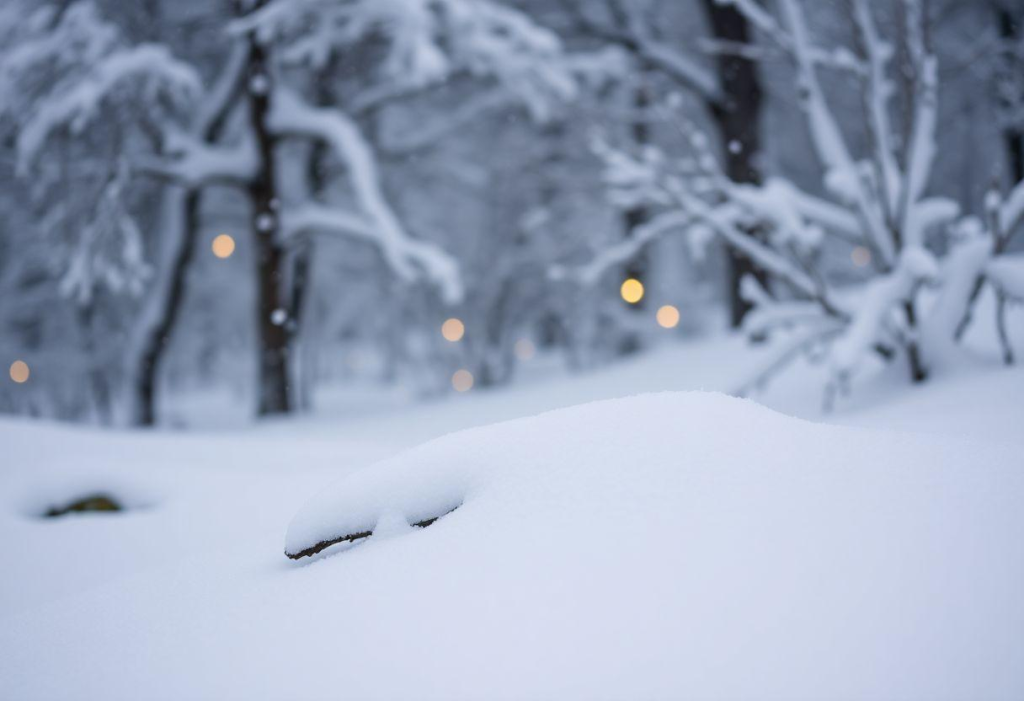 Souflé De Espinafre Com Clara De Neve